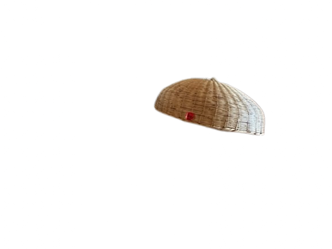 Rattan Light Pendant